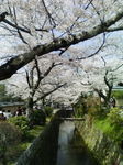 080405_1219~01.jpg